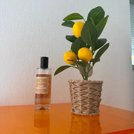 Lemon Sea Appartement Menton